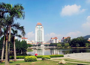 隨意的廈門，隨意的自己